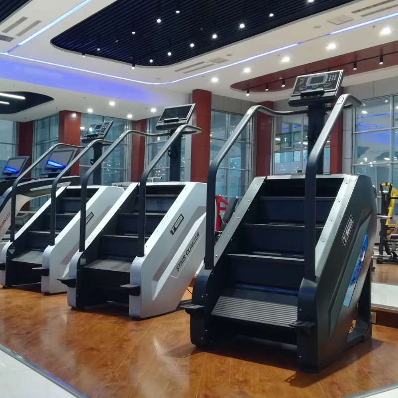 Bieżnia sportowa, chiński symu – Sports Equipment In Chinese recenzja i cena